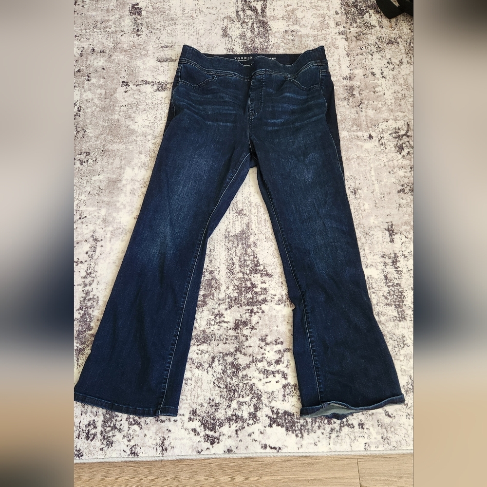 Torrid Dark Lean Jean
